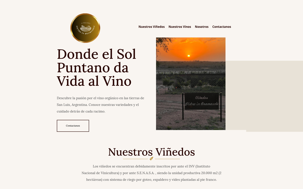 Captura del sitio de Viñedo Pietro
